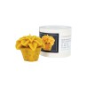 Forma silicon CRACIUNITA Lyson
