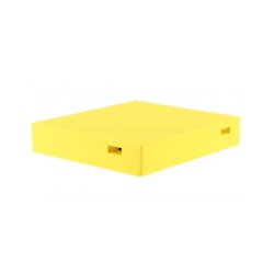 Capac inalt - pentru stup Dadant pe 12 rame vopsit