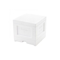 Stup Mini Plus din polistiren cu dublu functie a fundului