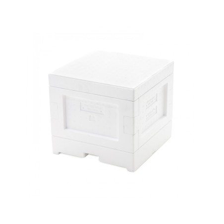 Stup Mini Plus din polistiren cu dublu functie a fundului