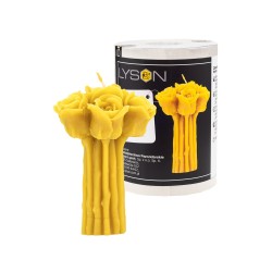 Forma din silicon - Buchet de trandafiri