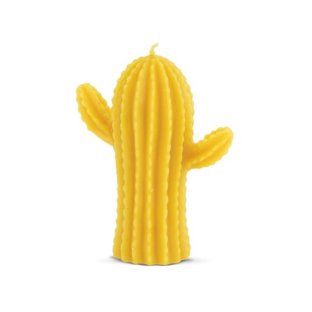 Forma din silicon - Cactus