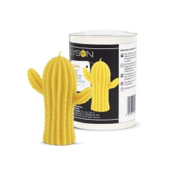 Forma din silicon - Cactus