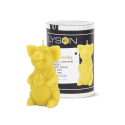 Forma din silicon - Porc cu trifoi